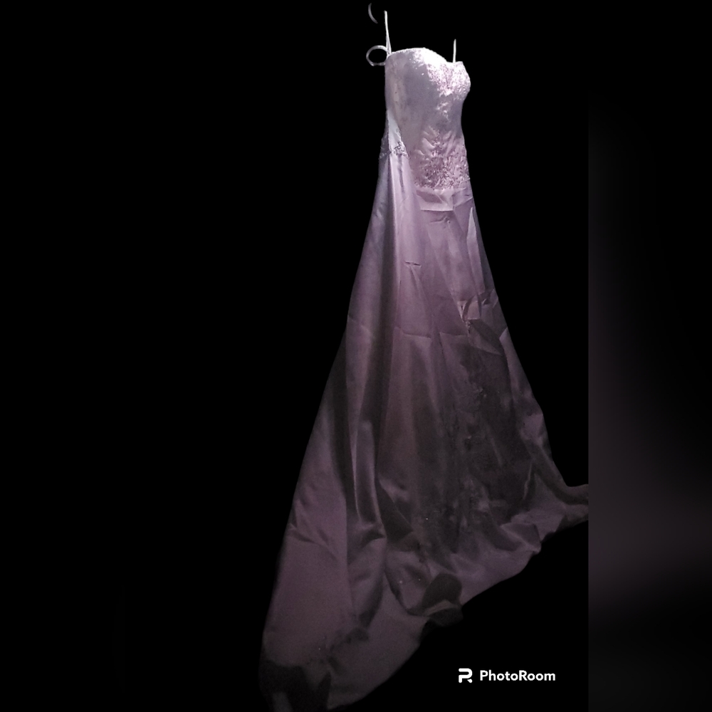 Custom Wedding Dress with Train and Emroided Sequined Bodice - Picture 2 of 5